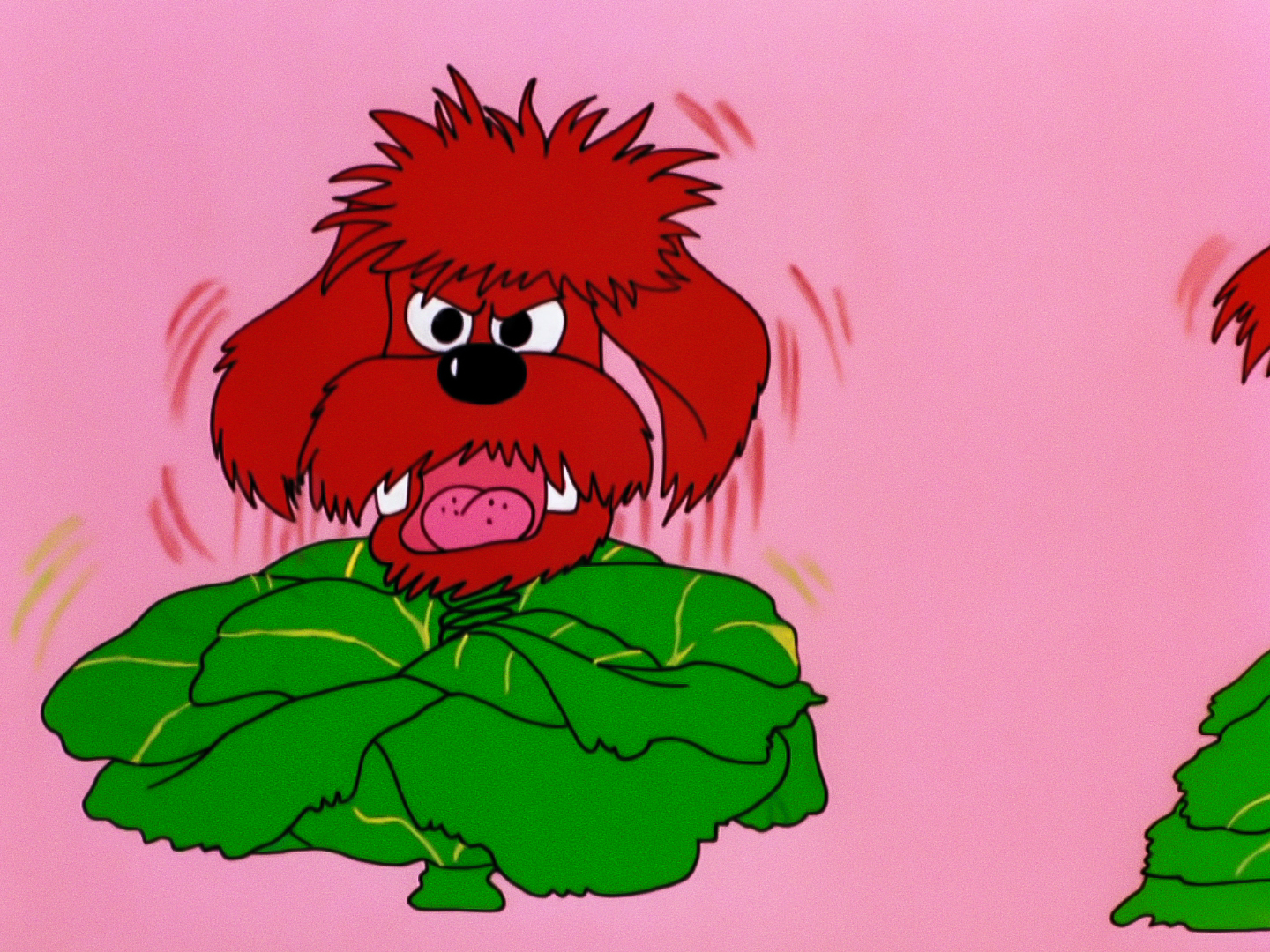 a head of a bright red dog springing from a cabbage